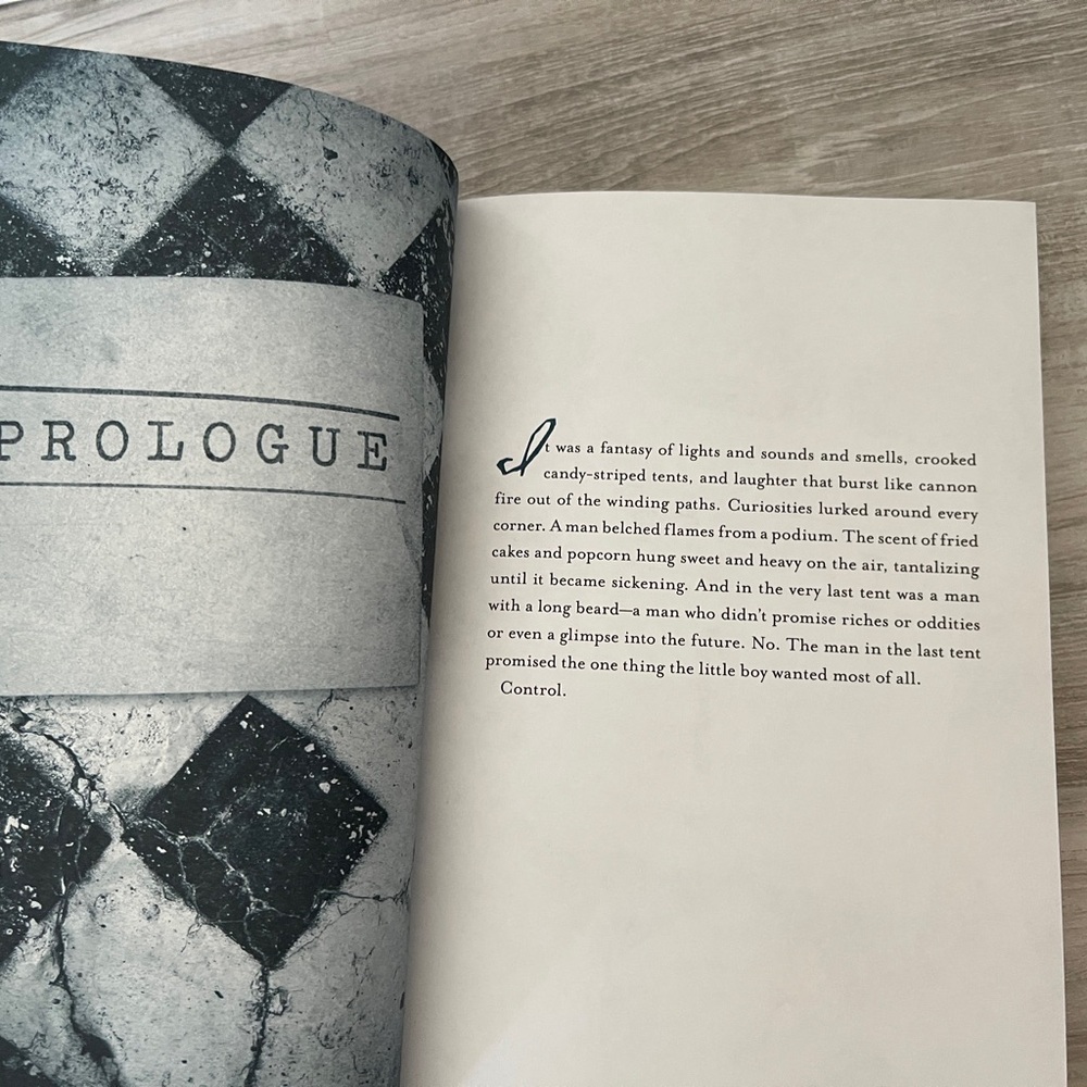 Sanctum Hardcover Book by Madelein Roux - Picture 7 of 10